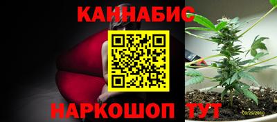 амф Новодвинск