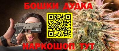 амф Новодвинск