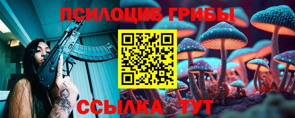 Псилоцибиновые грибы мухоморы  Вход с VPN  Уварово  Псилоцибиновые грибы прущие грибы 